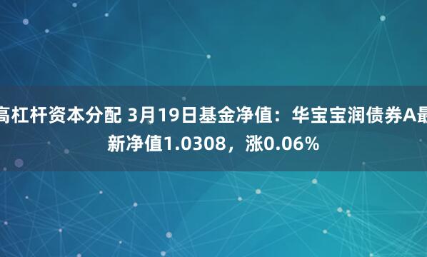 高杠杆资本分配 3月19日基金净值：华宝宝润债券A最新净值1.0308，涨0.06%