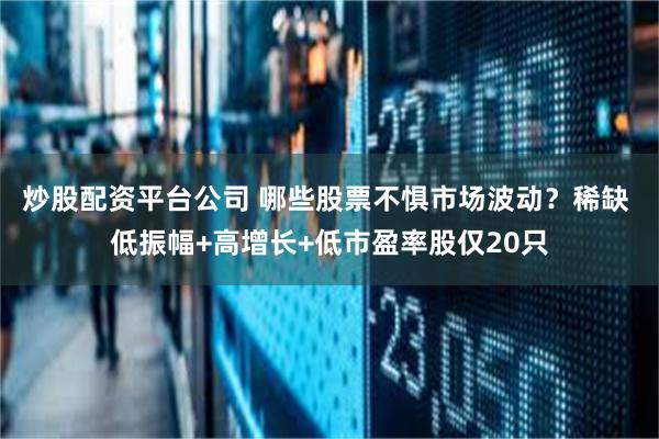 炒股配资平台公司 哪些股票不惧市场波动？稀缺 低振幅+高增长+低市盈率股仅20只