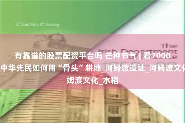 有靠谱的股票配资平台吗 芒种节气 | 看7000多年前中华先民如何用“骨头”耕地_河姆渡遗址_河姆渡文化_水稻