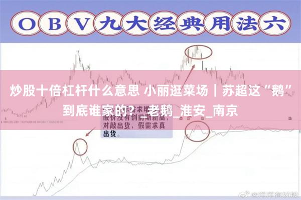 炒股十倍杠杆什么意思 小丽逛菜场｜苏超这“鹅”到底谁家的？_老鹅_淮安_南京