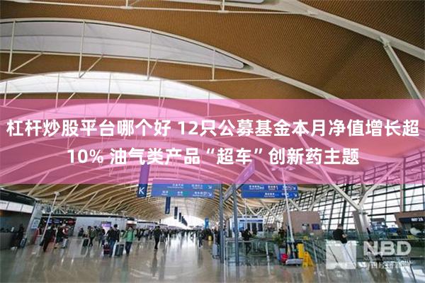 杠杆炒股平台哪个好 12只公募基金本月净值增长超10% 油气类产品“超车”创新药主题
