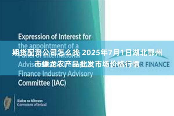 期货配资公司怎么找 2025年7月1日湖北鄂州市蟠龙农产品批发市场价格行情